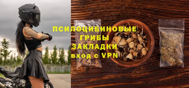 Галлюциногенные грибы MAGIC MUSHROOMS  Кодинск 